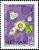 Colnect-5494-502-Pasion---Flower-passiflora-Hispida.jpg