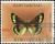 Colnect-4764-332-Butterfly-Colias-christophi.jpg
