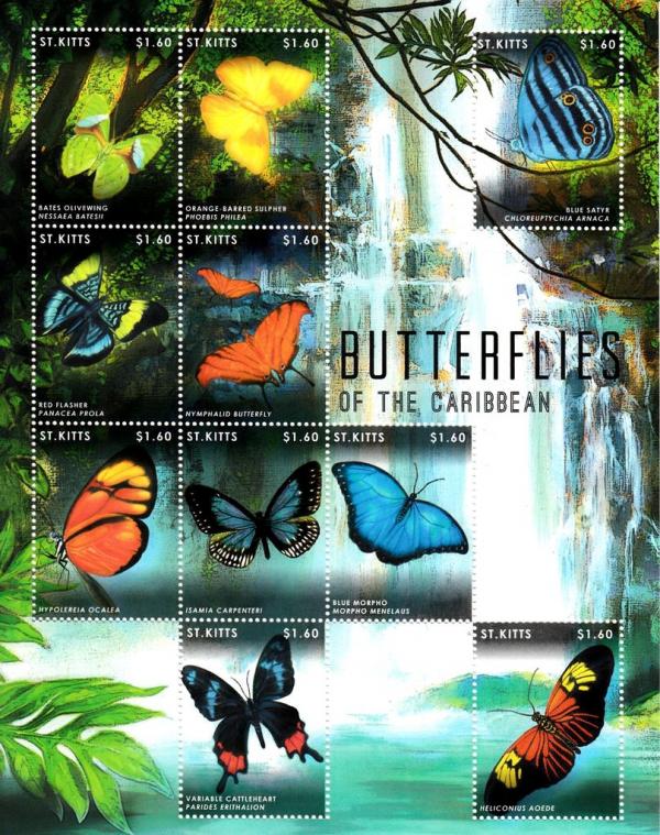 Colnect-3483-467-Butterflies-of-the-Caribbean.jpg