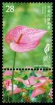 Colnect-5316-153-Flamingo-Flower.jpg