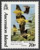 Colnect-853-296-Yellow-Canary-Serinus-flaviventris---Family-of-Birds-flyin.jpg