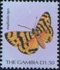 Colnect-2105-777-Butterfly-Amphicalia-tigris.jpg