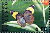 Colnect-4926-189-Gold-banded-Forester-Euphaedra-neophron.jpg
