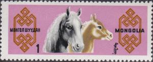 Colnect-888-590-Mare-with-Foal-Equus-ferus-caballus.jpg