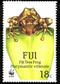 Colnect-1595-852-Fiji-Tree-Frog-Platymantis-vitiensis.jpg