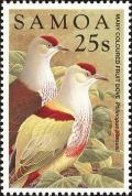 Colnect-1766-854-Many-coloured-Fruit-dove-Ptilinopus-perousii.jpg