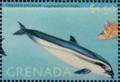 Colnect-4638-645-Fraser-s-dolphin.jpg
