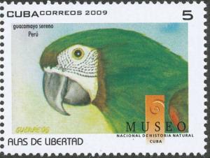 Colnect-1790-647-Chestnut-fronted-Macaw-Ara-severus.jpg