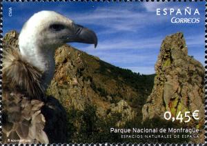 Colnect-613-372-National-Park-of-Monfrag%C3%BCe-Griffon-Vulture-Gyps-fulvus.jpg