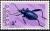 Colnect-1104-889-Jewelled-Frog-Beetle-Sagra-tristes.jpg