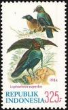 Colnect-1103-725-Superb-Bird-of-paradise-Lophorina-superba.jpg