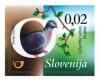 Colnect-2694-610-Birds-of-Slovenia---Stock-dove.jpg