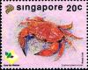 Colnect-4263-348-Mosaic-Reef-Crab-Lophozozymus-pictor.jpg