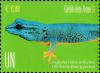 Colnect-5349-566-Turquoise-dwarf-gecko-Lygodactylus-williamsi.jpg