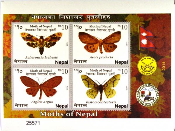 Colnect-3205-935-Moths-of-Nepal---MiNo-1150-53.jpg