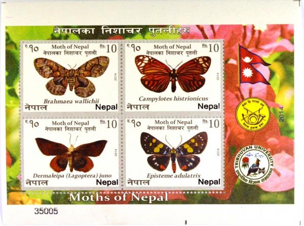 Colnect-3205-936-Moths-of-Nepal---MiNo-1154-57.jpg