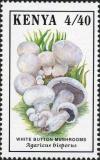 Colnect-1945-352-Agaricus-bisporus.jpg