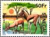 Colnect-2333-920-Dorcas-gazelle-Gazelle-dorcas.jpg
