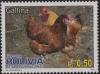 Colnect-4301-561-Chicken-Gallus-gallus-domesticus.jpg