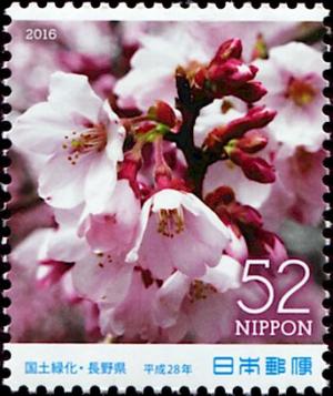 Colnect-5614-524-Takato-Kohigan-Zakura-Cherry-Blossoms.jpg