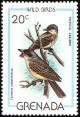 Colnect-1838-412-Tropical-Kingbird-Tyrannus-melancholicus.jpg