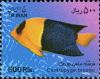 Colnect-1713-005-Bicolour-Angelfish-Centropyge-bicolor.jpg