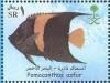 Colnect-1729-309-Arabian-Angelfish-Pomacanthus-asfur.jpg