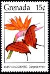 Colnect-2175-995-Ruddy-Daggerwing-Marpesia-petreus.jpg