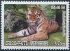 Colnect-3269-501-Siberian-Tiger-Panthera-tigris-altaica.jpg