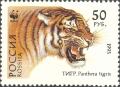 Colnect-2811-699-Siberian-Tiger-Panthera-tigris-altaica.jpg