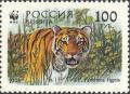 Colnect-2811-701-Siberian-Tiger-Panthera-tigris-altaica.jpg
