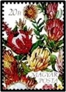 Colnect-3225-600-Montage-of-African-flowers.jpg