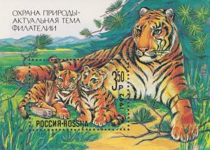 Colnect-1820-015-Siberian-Tiger-Panthera-tigris-altaica.jpg