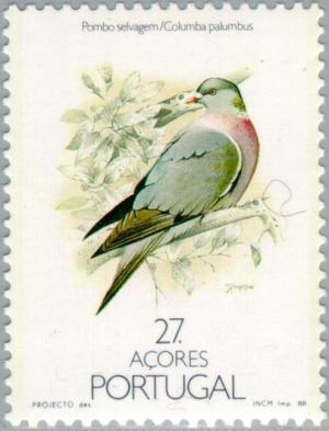 Colnect-186-398-Wood-Pigeon-Columba-palumbus.jpg