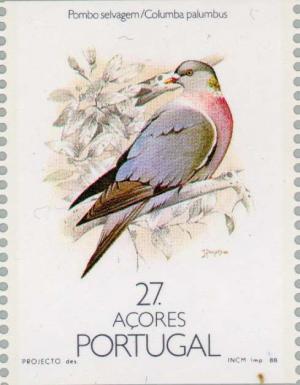 Colnect-186-403-Wood-Pigeon-Columba-palumbus.jpg