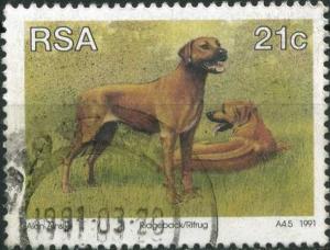 Colnect-2336-664-Rhodesian-Ridgeback-Canis-lupus-familiaris.jpg