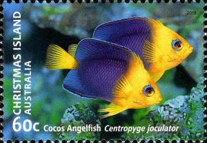 Colnect-2747-308-Yellowhead-Angelfish-Centropyge-joculator.jpg