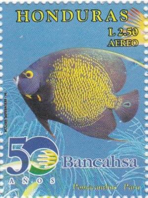 Colnect-3171-343-French-Angelfish-Pomacanthus-paru.jpg
