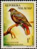 Colnect-955-473-Madagascar-Blue-pigeon-Alectroenas-madagascariensis.jpg