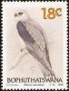 Colnect-1456-690-Black-winged-Kite-Elanus-caeruleus.jpg