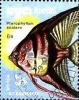 Colnect-6079-972-Freshwater-Angelfish-Pterophyllum-scalare.jpg