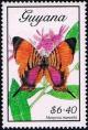 Colnect-2070-812-Pansy-Daggerwing-Marpesia-marcella.jpg