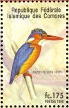 Colnect-3669-519-Malachite-Kingfisher-Corythornis-cristatus.jpg