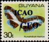 Colnect-4852-872-ICAO-GFO-on-30c-butterfly.jpg