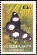 Colnect-1789-161-Danaid-Eggfly-Hypolimnas-misippus.jpg