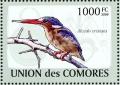 Colnect-3669-395-Malachite-Kingfisher-Corythornis-cristatus.jpg