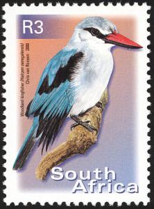 Colnect-2339-552-Woodland-Kingfisher-Halcyon-senegalensis.jpg