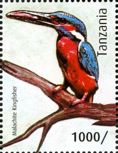 Colnect-2425-959-Malachite-Kingfisher-Corythornis-cristatus.jpg