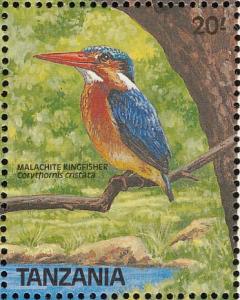 Colnect-1745-645-Malachite-Kingfisher-Corythornis-cristatus.jpg