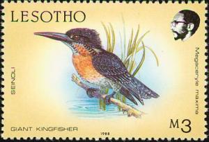 Colnect-1725-559-Giant-Kingfisher-Megaceryle-maxima.jpg